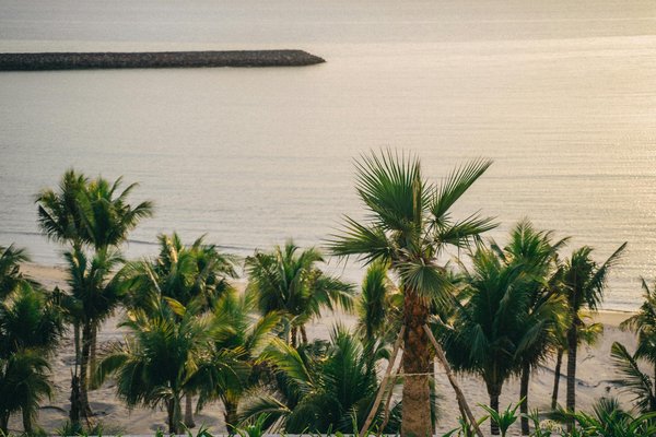 Hoe kies je de juiste hut op een cruiseschip?